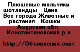 Плюшевые мальчики шотландцы › Цена ­ 500 - Все города Животные и растения » Кошки   . Амурская обл.,Константиновский р-н